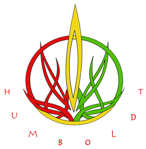 MEDICAL CANNABIS VAPORIZERS